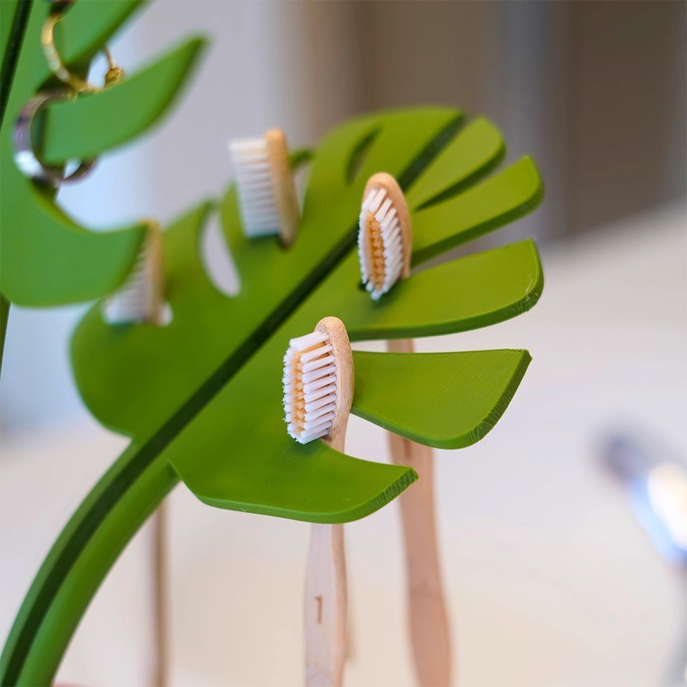 Bathroom Plant Storage Box Toothbrush Toothpaste Holder